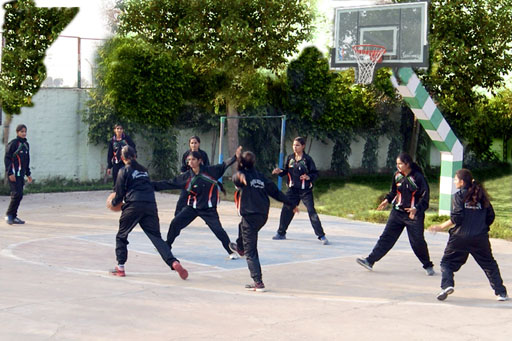 basketball_optimized